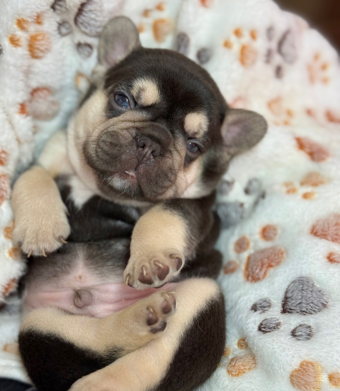 Elvis relaxing