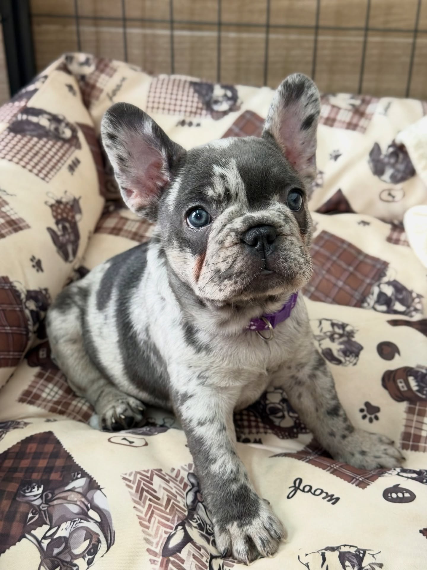 Hailey looking toward the camera