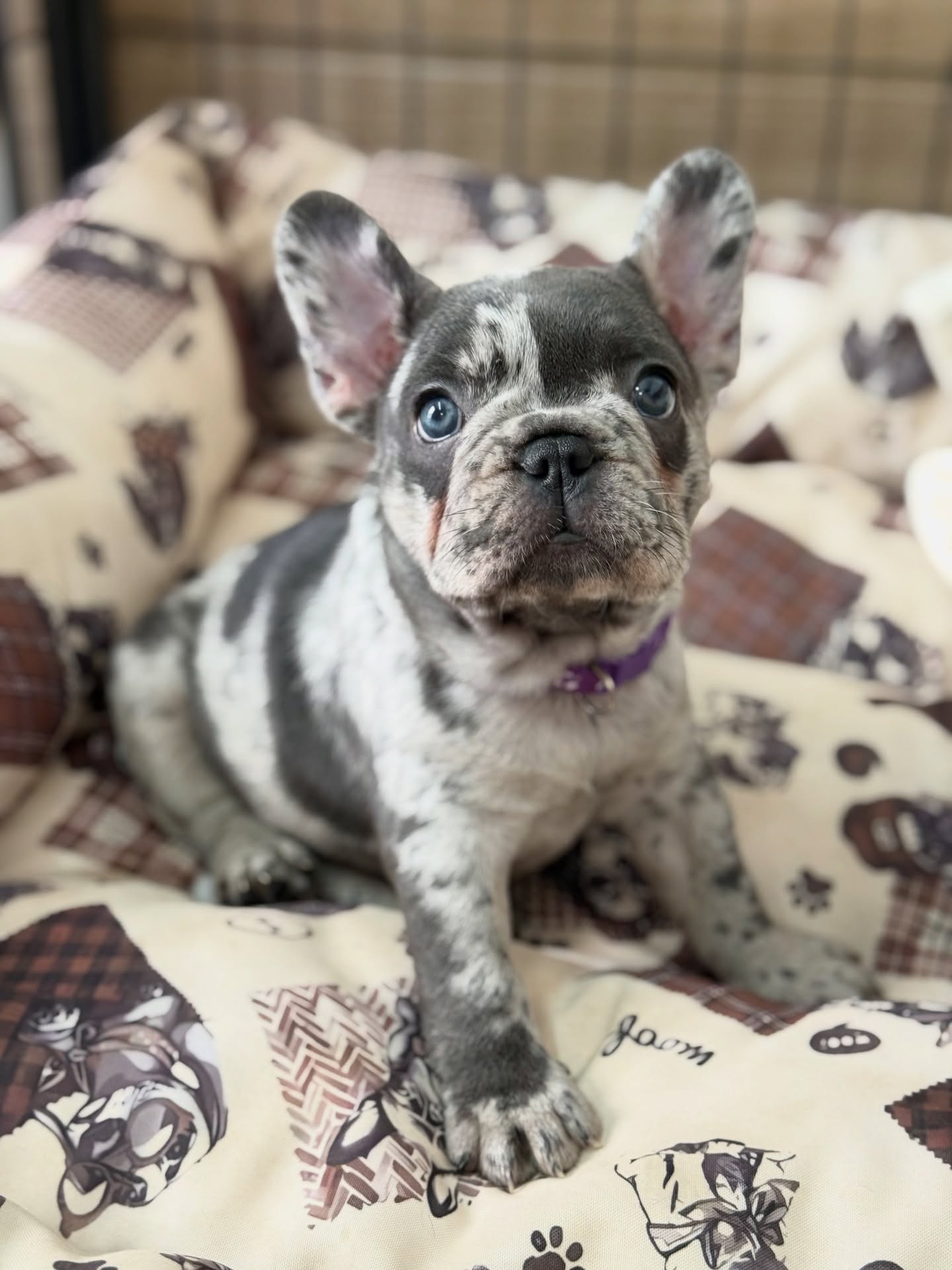 Hailey relaxing