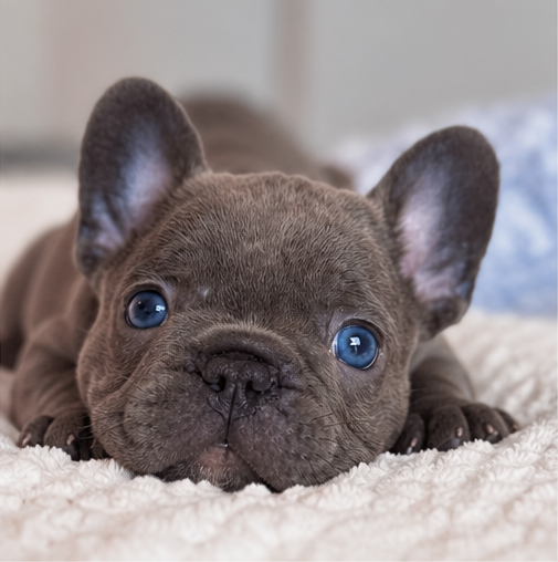 George sitting on a blanket